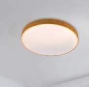 light & bulb 